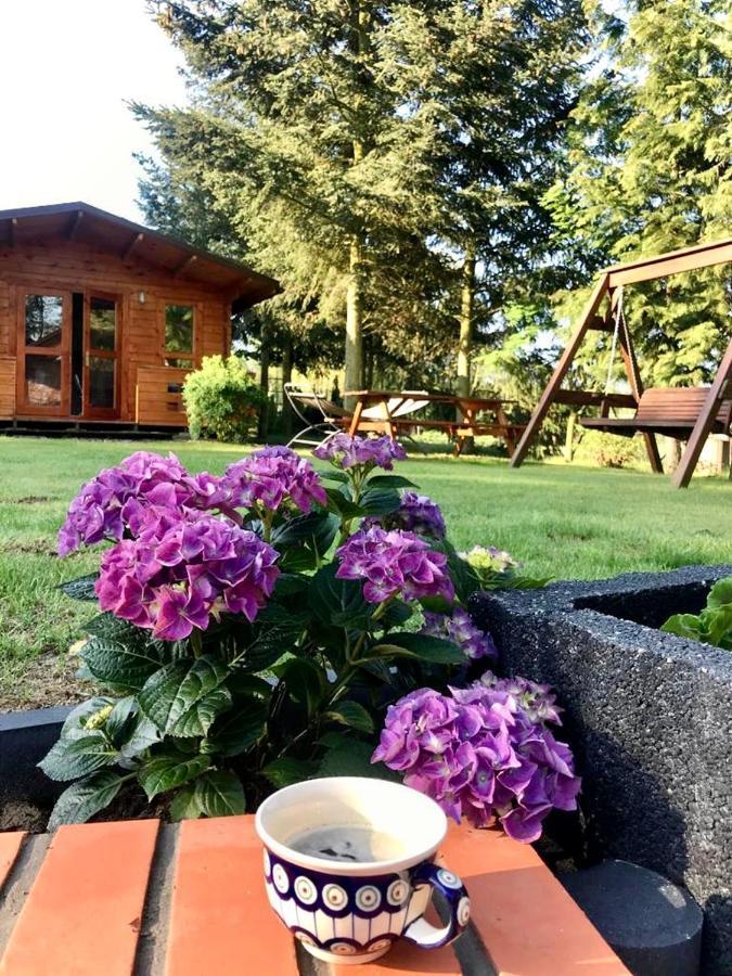 Osada Laskowo, Osrodek Laskowo Domki Nad Jeziorem Esterno foto